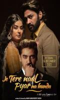 poster of Je Tere Naal Pyar Na Hunda 2022 Punjabi Movie