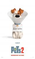 poster of The Secret Life of Pets 2 2019 Hindi Dubbed Movie