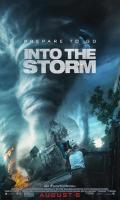 poster of Into the Storm 2014 Hindi Dubbed Movie